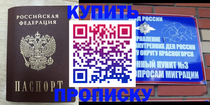 прописка гарантия в Холмске